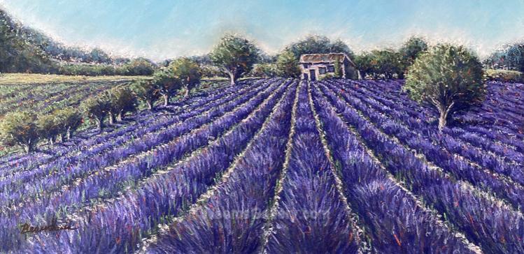 Purple Panorama by Edna Beauchemin